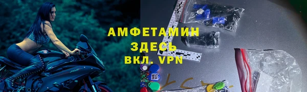 соль ск Пересвет