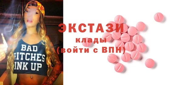 соль ск Пересвет