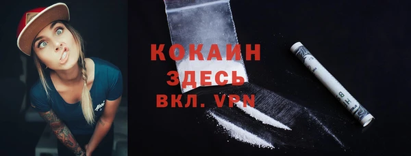 соль ск Пересвет