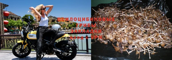 тгк Пестово