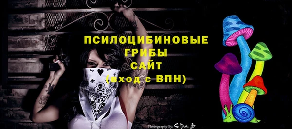соль ск Пересвет