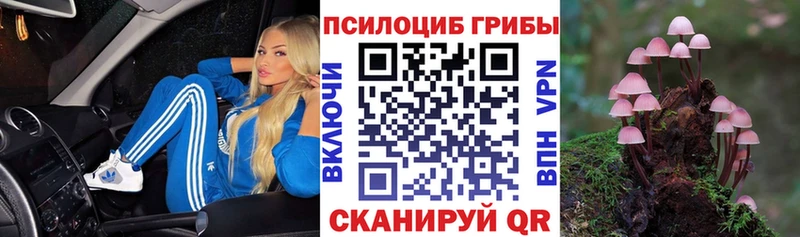 Галлюциногенные грибы GOLDEN TEACHER  купить наркоту  Рошаль 